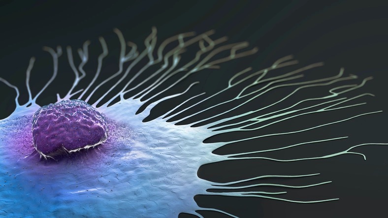 Eterna Therapeutics 收购 Exacis Biotherapeutics 的全球免疫肿瘤学平台，扩展癌症治疗业务