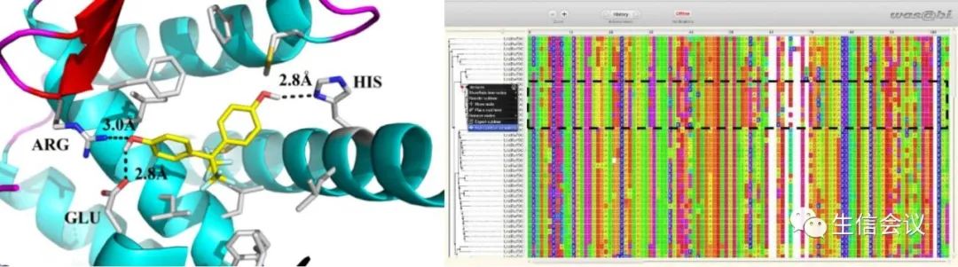 6月开班|计算机辅助药物设计与分子动力学模拟应用实践班2023年6月27-30日-肽度TIMEDOO
