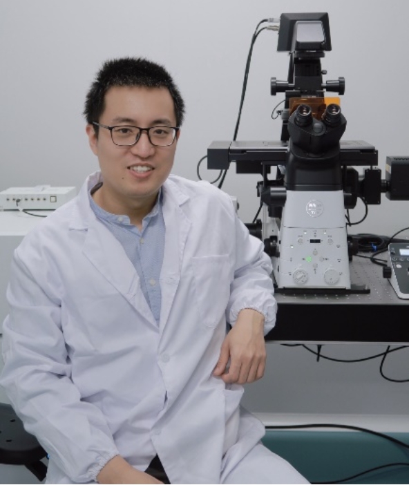 北京大学药学院周德敏课题组在肿瘤个性化治疗疫苗研发领域取得突破-肽度TIMEDOO