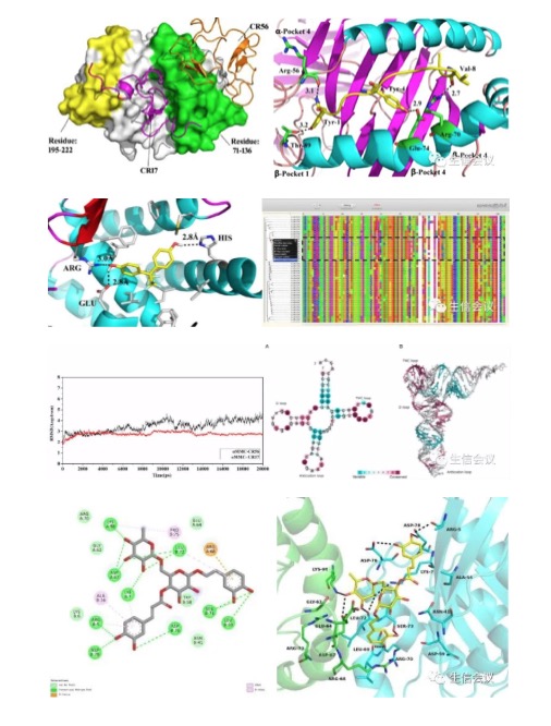 2023.9.5-8|计算机辅助药物设计与分子动力学模拟应用实践班-肽度TIMEDOO