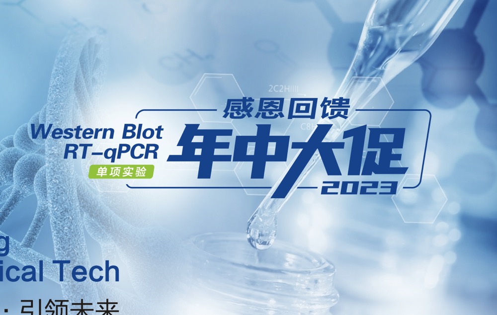 把价格打下来了！实验进程加速利器！高效、节省时间的方法(WB、qPCR)