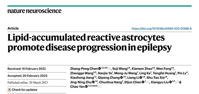 南京大学闫超/陈迪俊合作揭示脂堆积的星形胶质细胞在癫痫病理中的作用