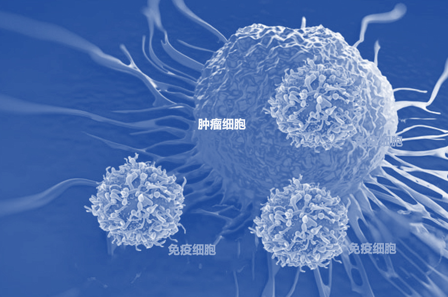 天劢源和宣布双特异性抗体药物A-337 IND获批