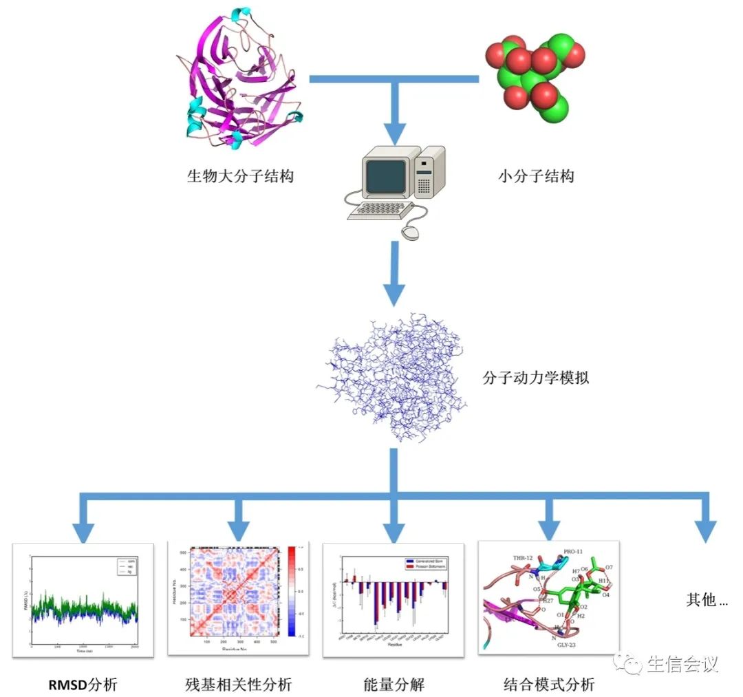 2023.7.6-7|分子动力学模拟研讨班——Amber软件-肽度TIMEDOO