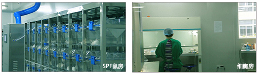 【实验问题,免费技术答疑】莱德盟生物——您值得信赖的实验外包服务商,专注科研服务10+年!-肽度TIMEDOO