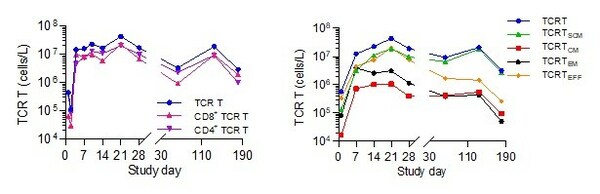 星汉德生物公布SCG101 TCR-T细胞治疗最新突破临床数据-肽度TIMEDOO