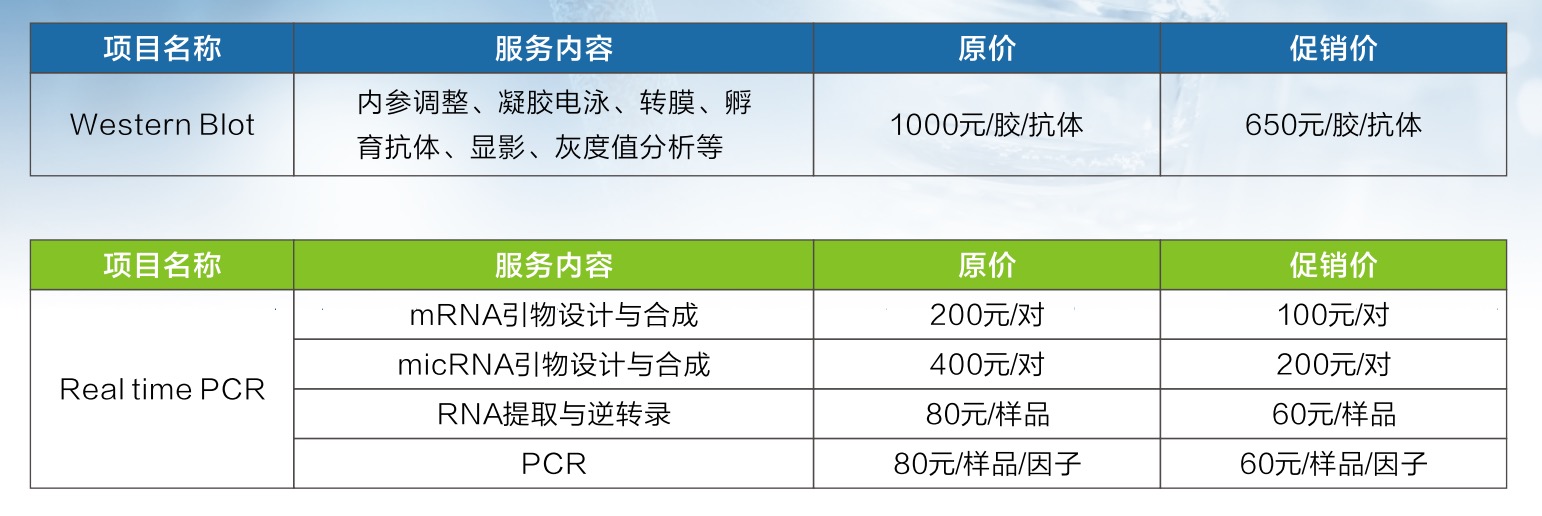 把价格打下来了！实验进程加速利器！高效、节省时间的方法(WB、qPCR)-肽度TIMEDOO