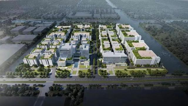 宝山区生物医药制备产业集群成功入围首批上海市中小企业特色产业集群!-肽度TIMEDOO