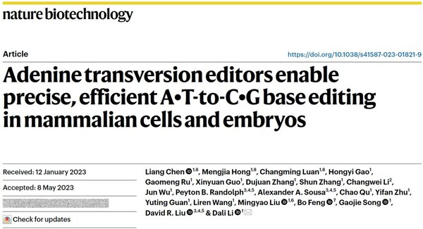 邦耀生物团队Nature Biotechnology发文，开发出精准高效的腺嘌呤颠换编辑器