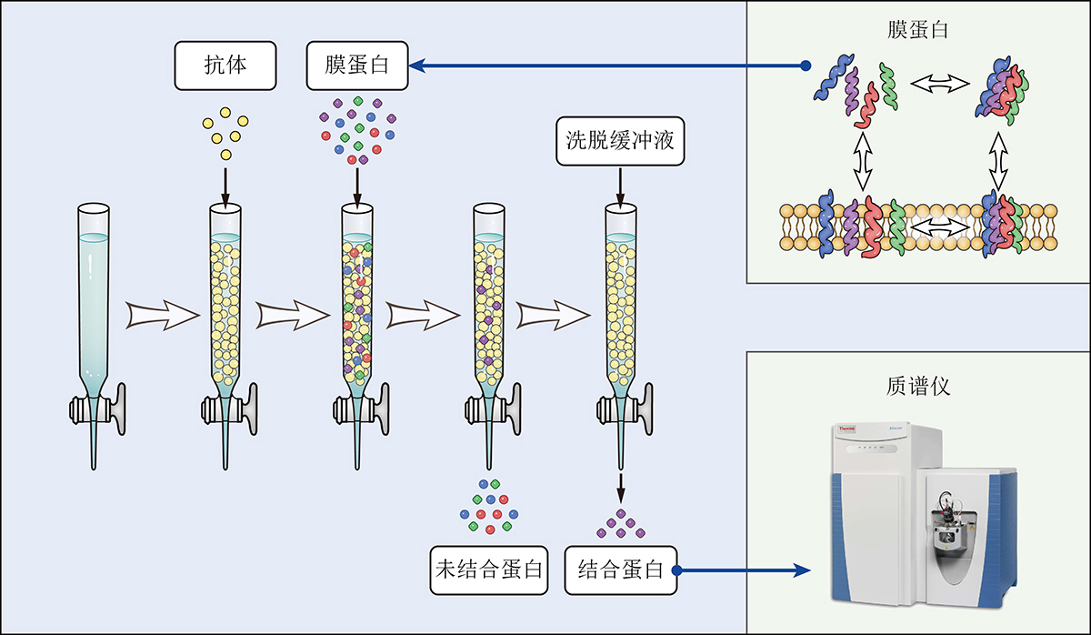8月19-20日|SCI论文/基金示意图培训班「线上线下同步」,包学会含晚自习!-肽度TIMEDOO