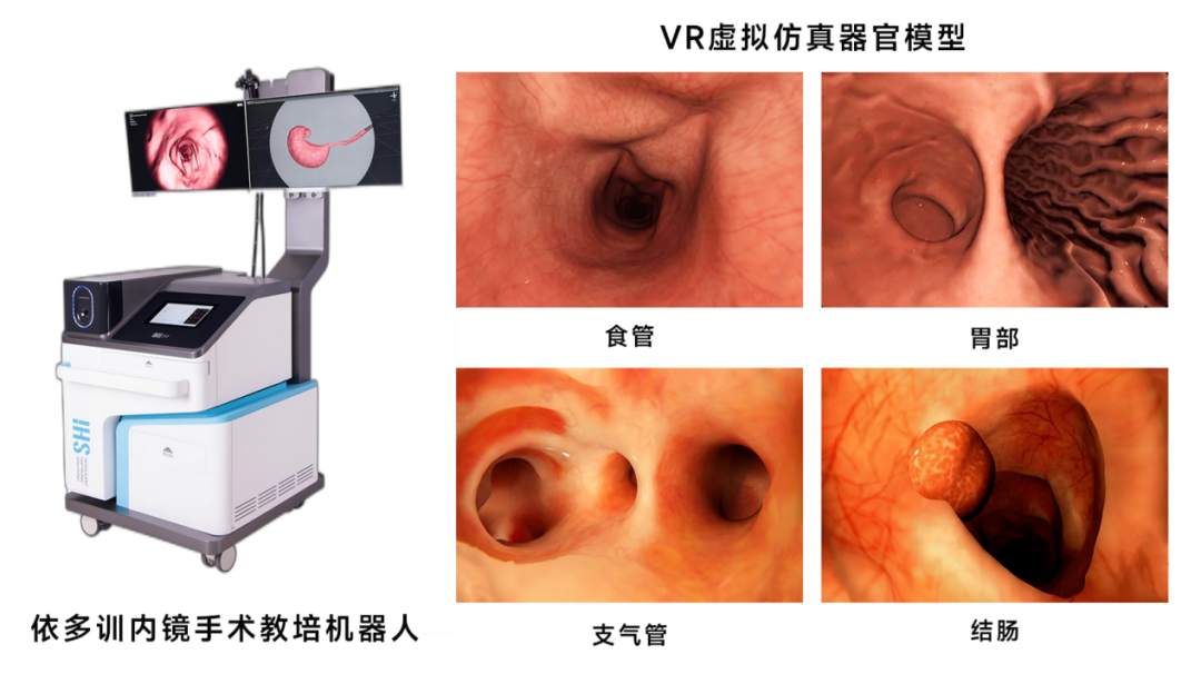 IHS智触完成Pre-A轮融资,加速推进研发与市场发展,引领智能触觉行业产业化-肽度TIMEDOO