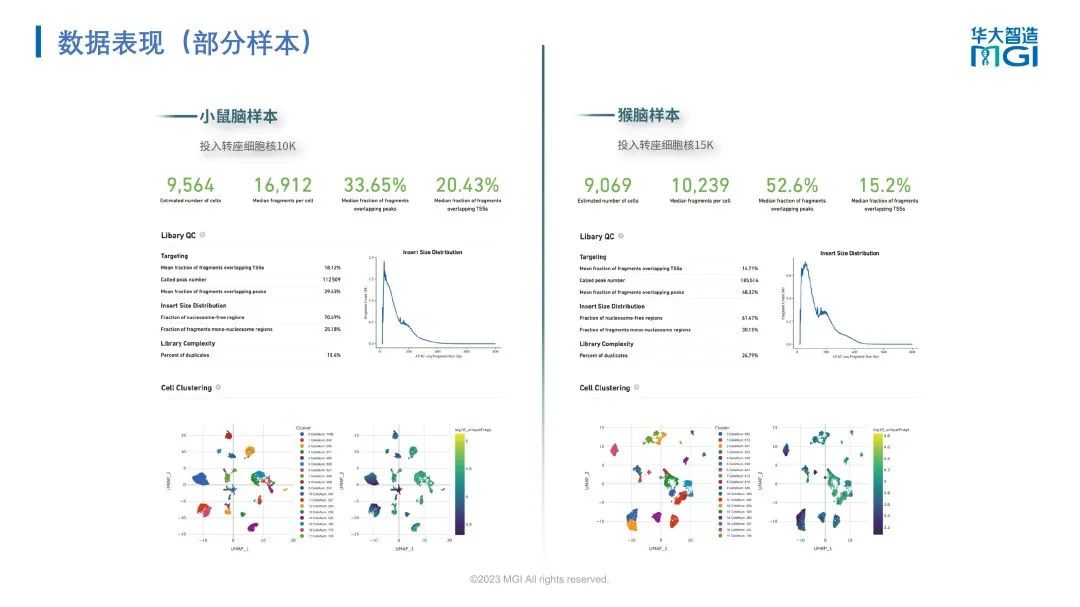 上新 | 探索无限细胞!华大智造发布单细胞液滴生成仪及表观组学建库试剂盒-肽度TIMEDOO