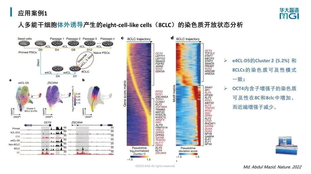 上新 | 探索无限细胞!华大智造发布单细胞液滴生成仪及表观组学建库试剂盒-肽度TIMEDOO