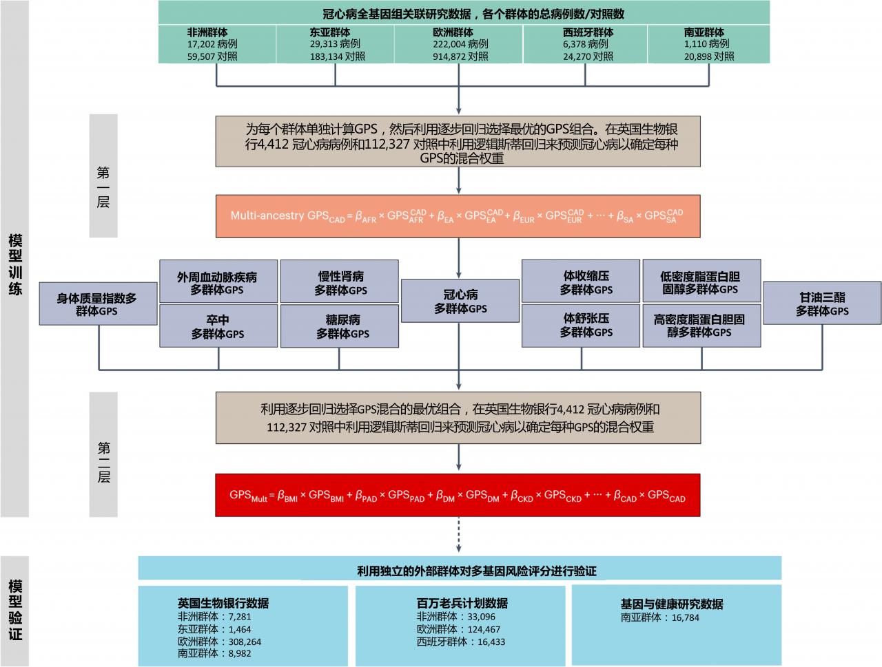 中美科学家合作开发预测冠心病患病风险模型-肽度TIMEDOO