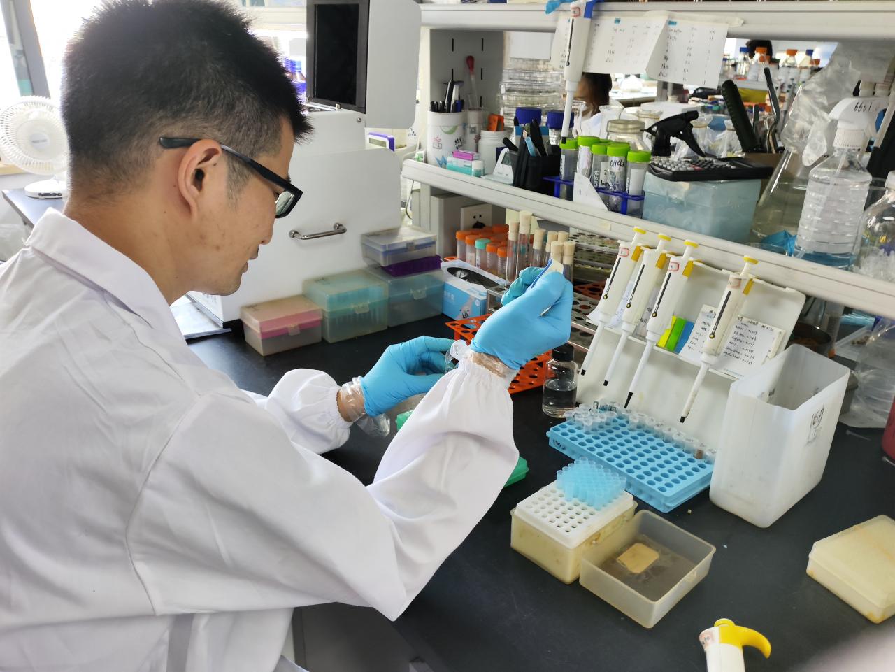 研究发现调控根瘤细胞信号传递的“机关”