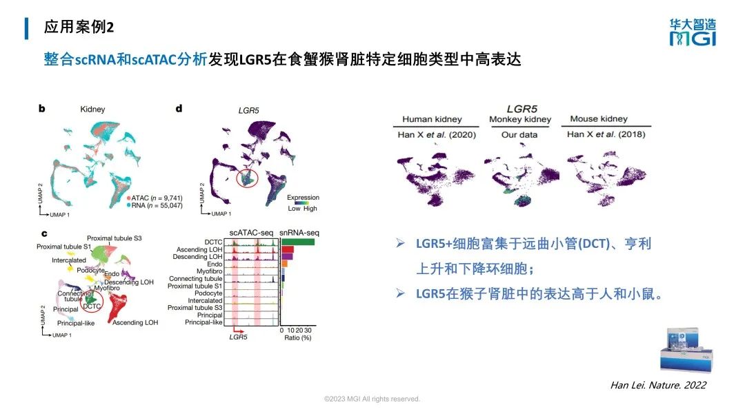 上新 | 探索无限细胞!华大智造发布单细胞液滴生成仪及表观组学建库试剂盒-肽度TIMEDOO