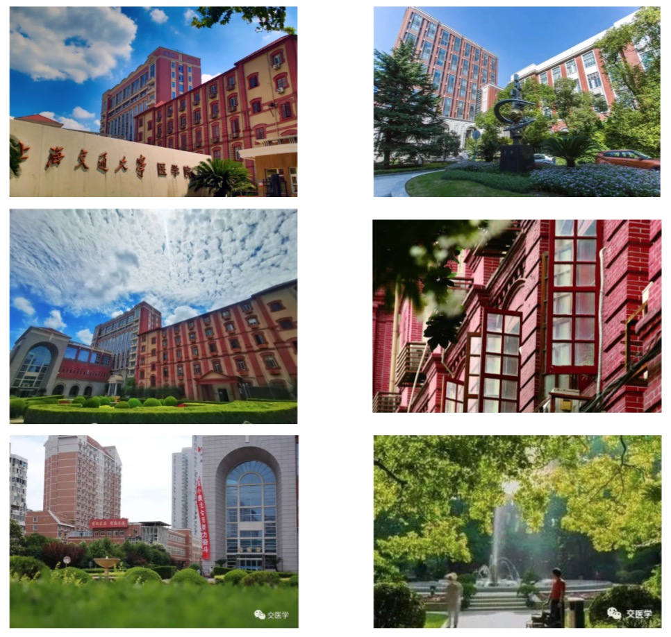 火热招生中！上海交大医学院2023年中国医疗医药高级工商管理研修班招生简章-肽度TIMEDOO
