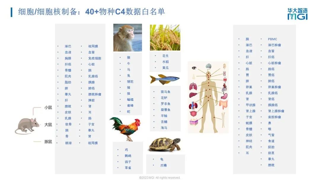 上新 | 探索无限细胞!华大智造发布单细胞液滴生成仪及表观组学建库试剂盒-肽度TIMEDOO