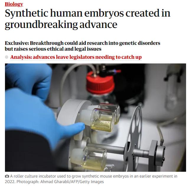 全球首个！无需精子和卵子，科学家用干细胞合成人类胚胎模型