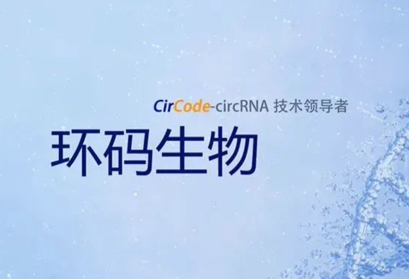 环码生物完成数千万美元A轮融资，推动环形RNA技术转化