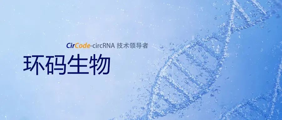 环码生物完成数千万美元A轮融资，推动环形RNA技术转化-肽度TIMEDOO