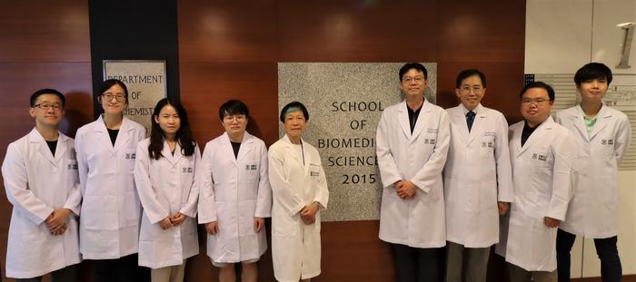 香港研究:减少基因表达的神经干细胞或为脊髓损伤治疗开辟新途径-肽度TIMEDOO