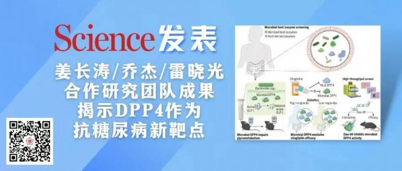 《科学》发表姜长涛-乔杰-雷晓光合作研究团队成果,揭示DPP4作为抗糖尿病新靶点-肽度TIMEDOO