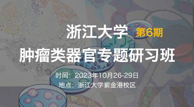 揭秘肿瘤类器官技术：为何这些人必须掌握它？-肽度TIMEDOO