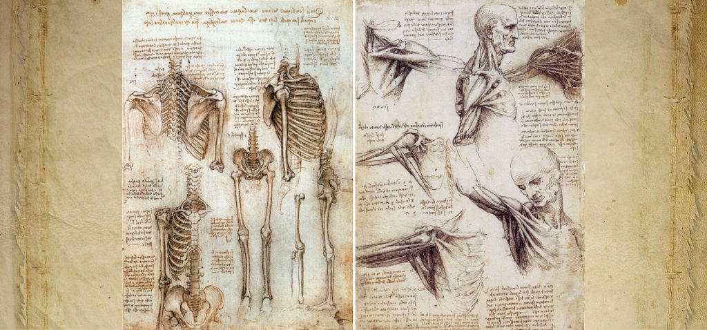Visxon:医学插图简史