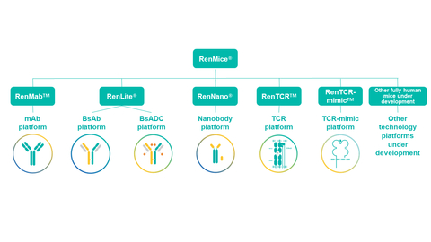 RenMice系列全人抗体/TCR小鼠彰显百奥赛图在生物药开发领域的创新能力