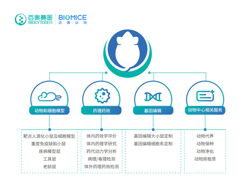 百奥赛图升级两大业务线，推出子品牌BioMice百奥动物，赋能全球创新药物研发
