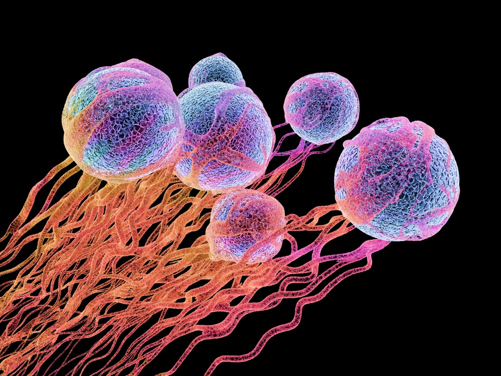 癌细胞的生存机制揭示：如何抵抗化疗的攻击
