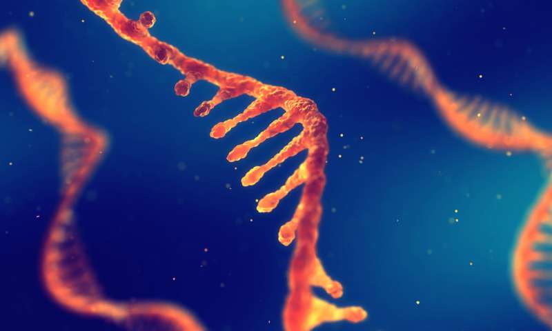 ReNAgade Therapeutics将在第11届 International mRNA Health Conference（国际mRNA健康会议）上介绍临床前数据，展示使用专有脂质纳米颗粒可有效进行mRNA肝外递送