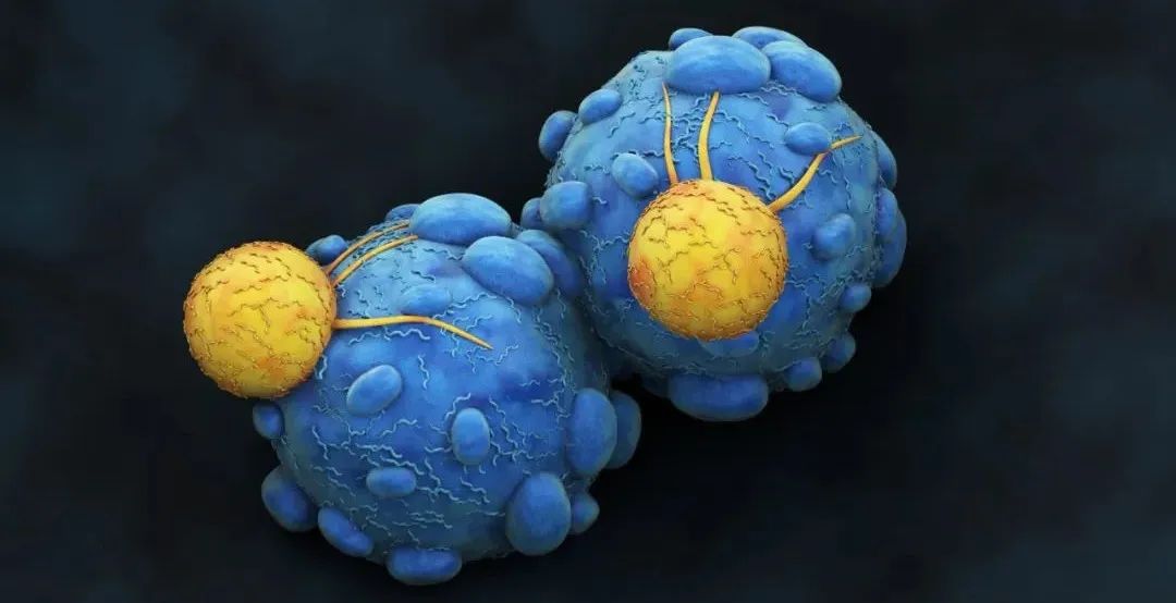 玄言生物完成数千万元天使轮融资，用于世界全新癌症靶点抗体药INTX-001的临床前研究
