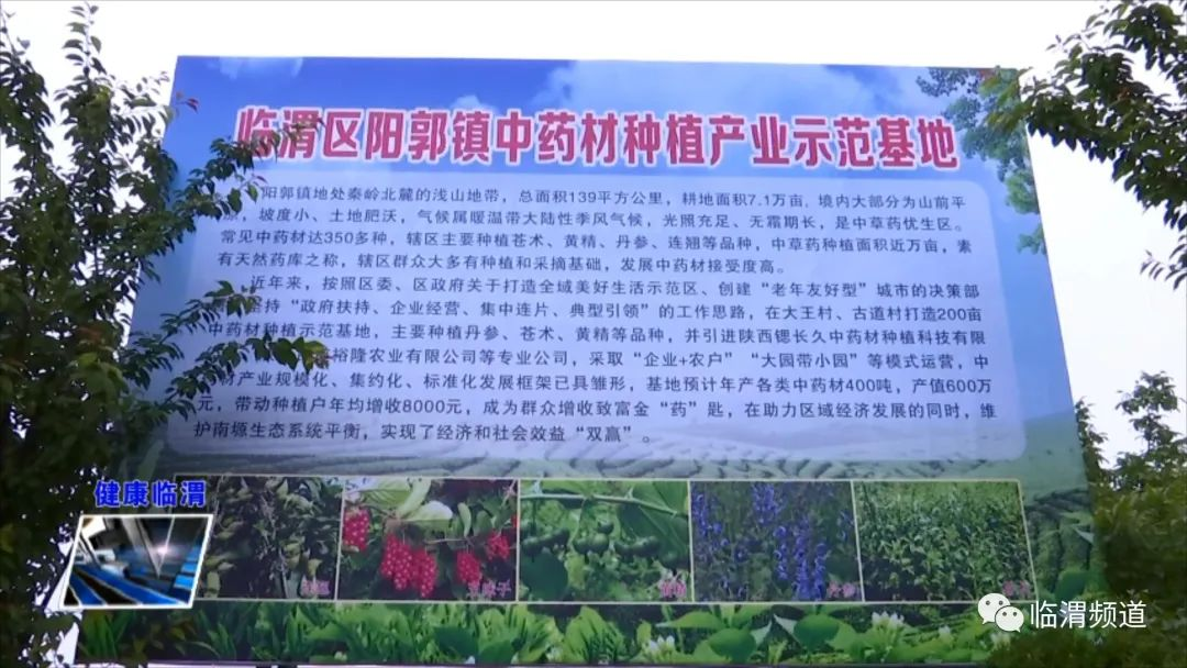 中医药文化大会暨康养优势产业推介会调研论证组在临渭区调研-肽度TIMEDOO