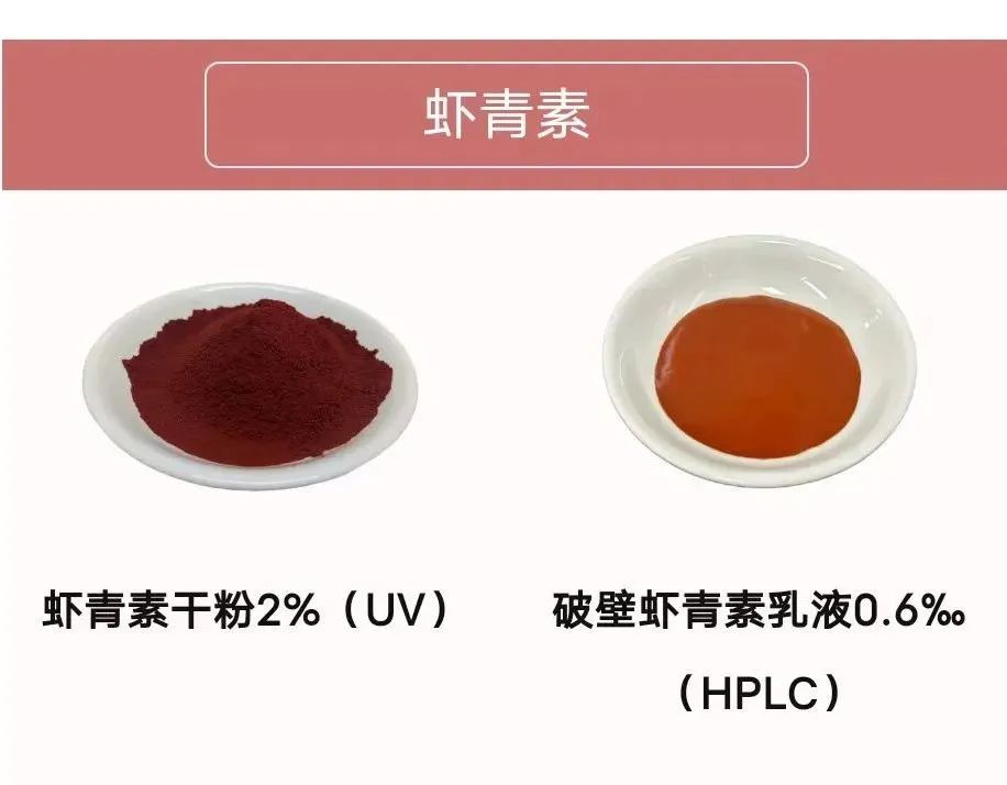 元一生物完成近亿元 A 轮融资，加速合成生物学新产品研发生产-肽度TIMEDOO