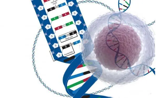 Parse Biosciences完成5000万美元融资，以推动全球业务持续增长