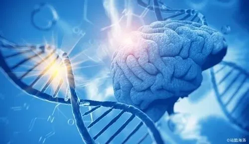 研究人员试图利用基因编辑疗法攻克阿尔茨海默病