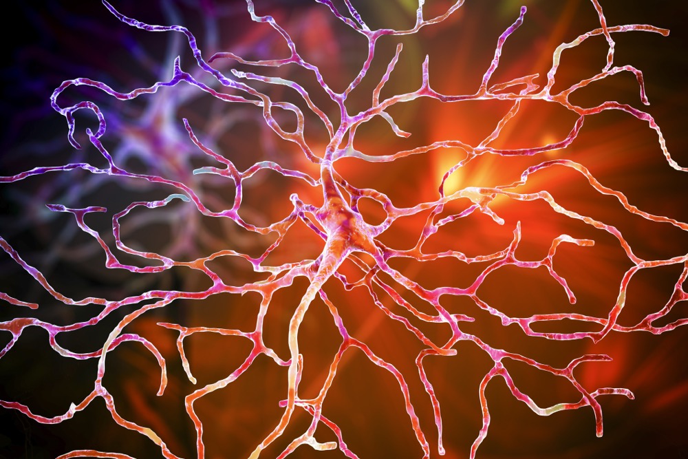 赛尔号神经元再生胶囊图片