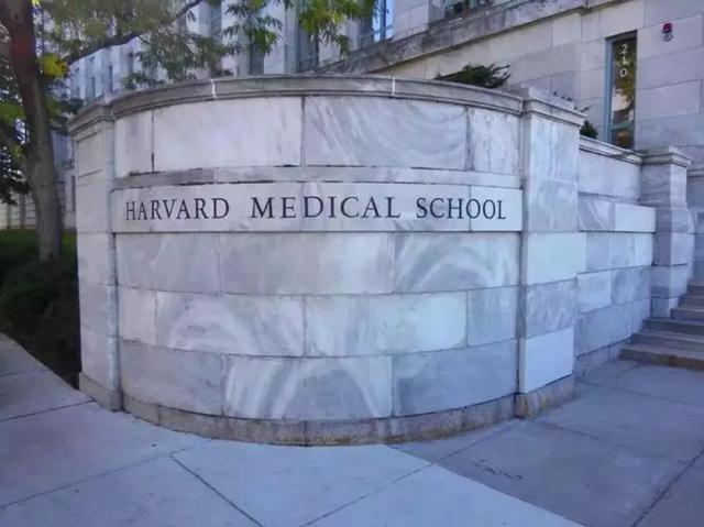 燕山大学生命健康与智能医学学院揭牌,医学梦终于实现了-肽度TIMEDOO