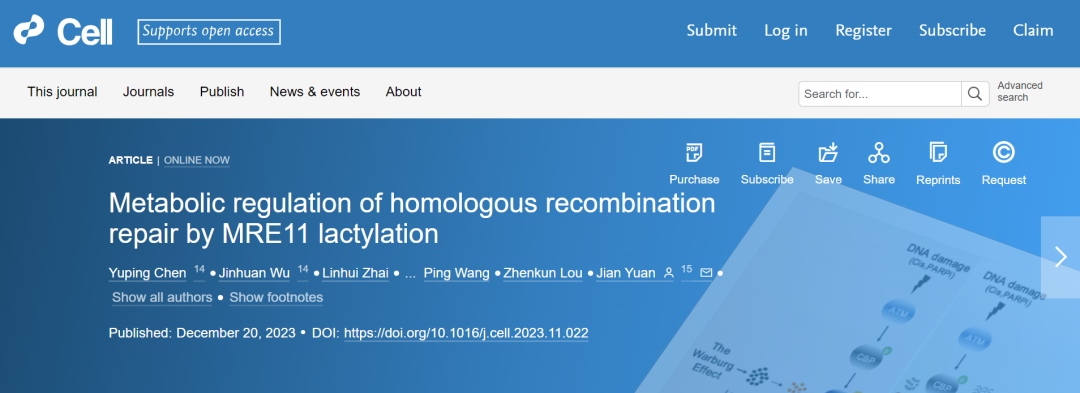 同济大学科学家找出肿瘤细胞“帮凶” 为克服肿瘤耐药提供潜在靶点和策略-肽度TIMEDOO