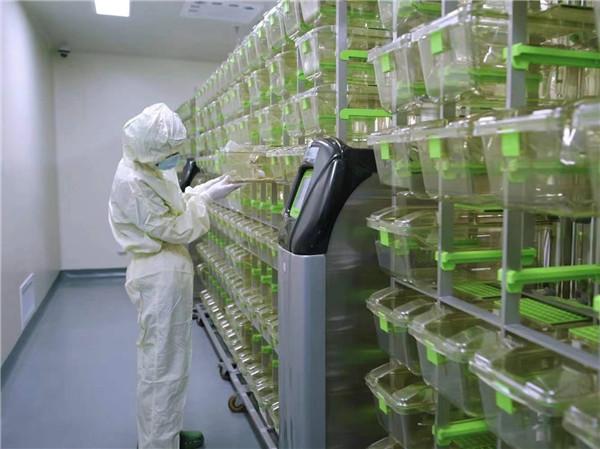 上海交大为“小动物”造了一栋楼 高水平动物实验平台支撑科研发展