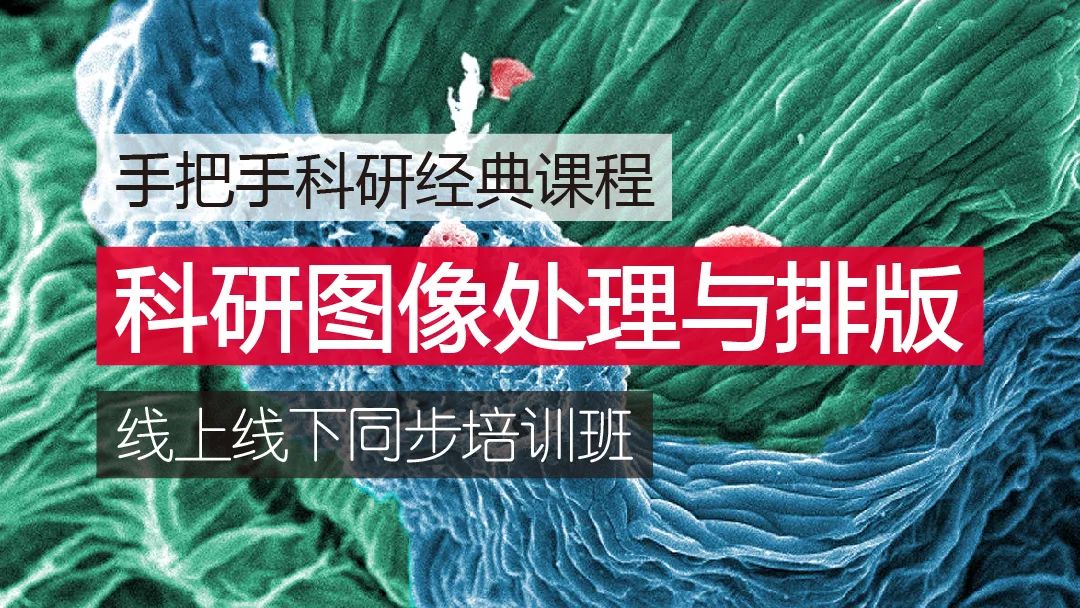 2024年2月24-25日·