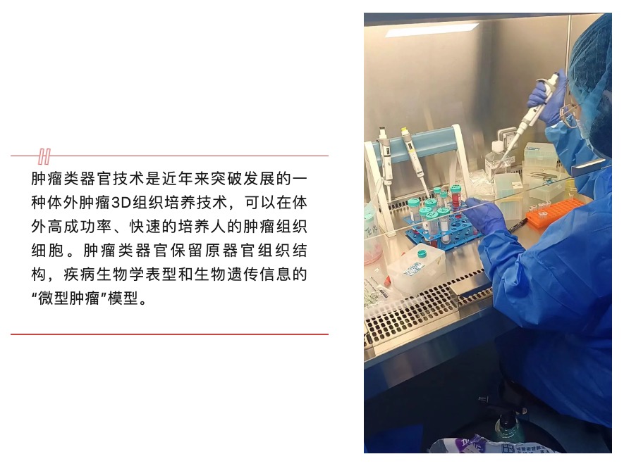 2024年4月11-14日·杭州·浙江大学第7期类器官技术专题研习班-肽度TIMEDOO