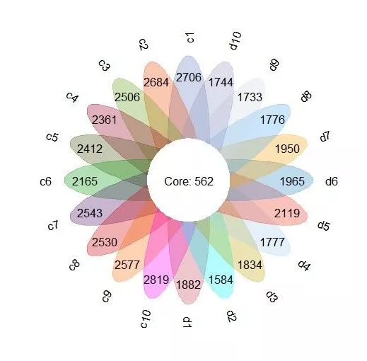 2024.4.22-24结果解读,数据可视:微生物组学数据分析与挖掘专题培训班-肽度TIMEDOO