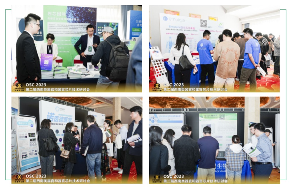 2024年4月20-21日·深圳·OSC 2024第三届粤港澳类器官和器官芯片产业化大会-肽度TIMEDOO