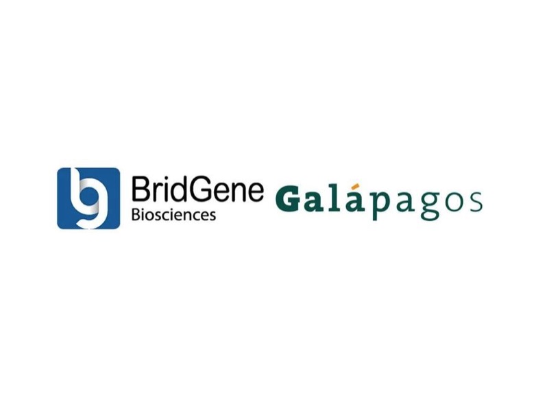超7亿美元，BridGene与Galapagos进行战略合作，发现靶向肿瘤的小分子药物