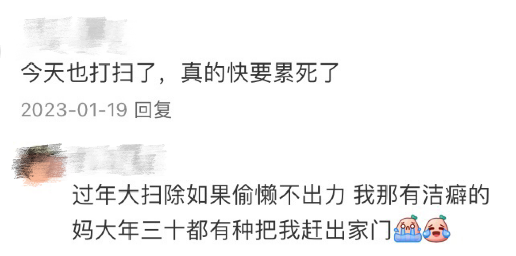 最近的年轻人,开始流行当“过年主理人”-肽度TIMEDOO