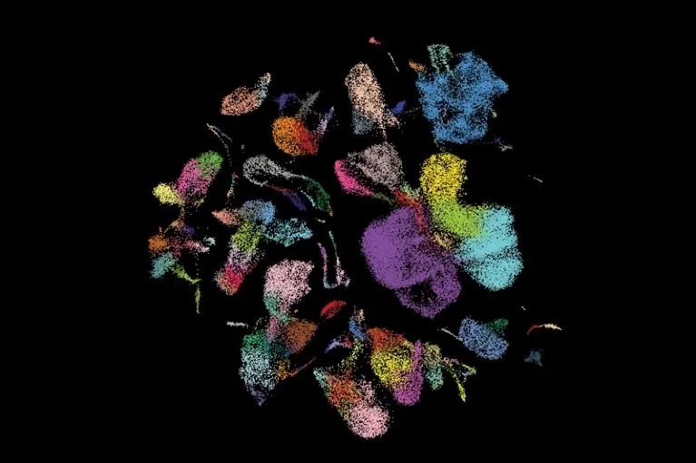 Nature发布2024年最值得关注七大技术，中国科学家新技术成果入选！