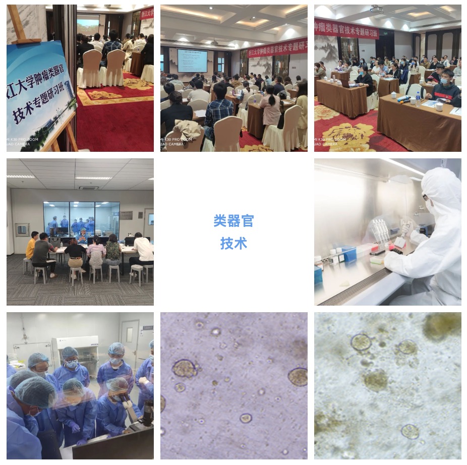 2024年4月11-14日·杭州·浙江大学第7期类器官技术专题研习班-肽度TIMEDOO